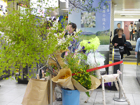 JR中野駅でお花を生け中