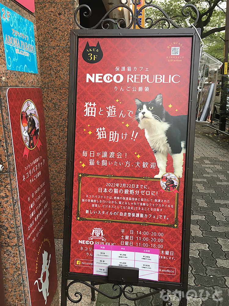 保護猫カフェNECO REPUBLIC