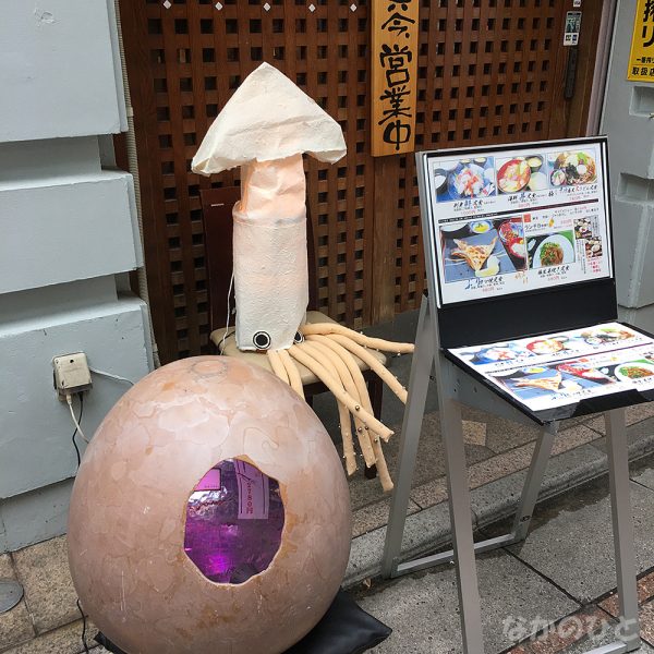 味わい屋の店頭に、イカ