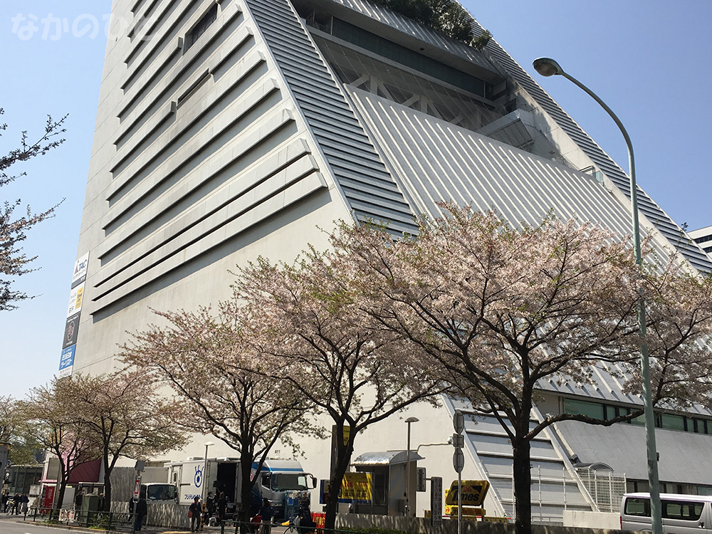 2017年4月14日の中野通りの桜