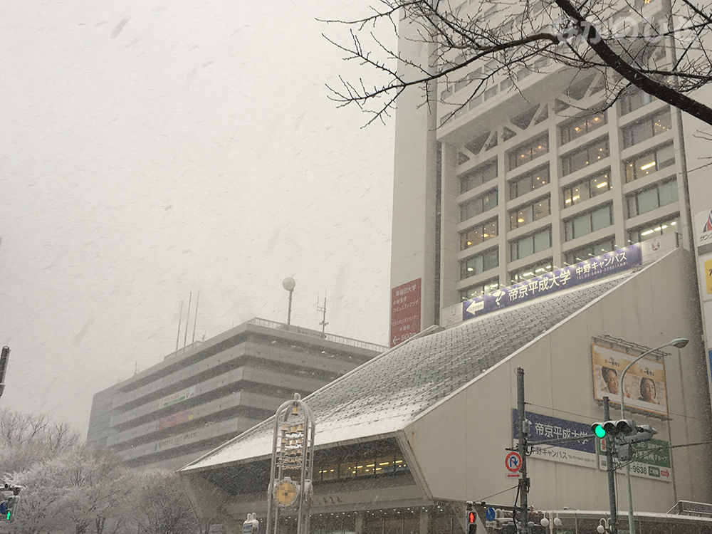 大雪になった、1月22日の中野