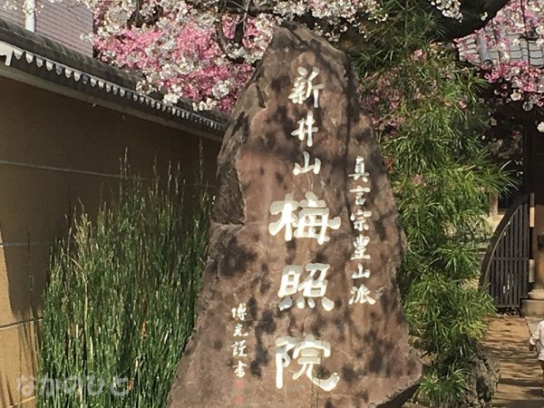 新井薬師梅照院