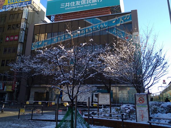 中野駅前の植木