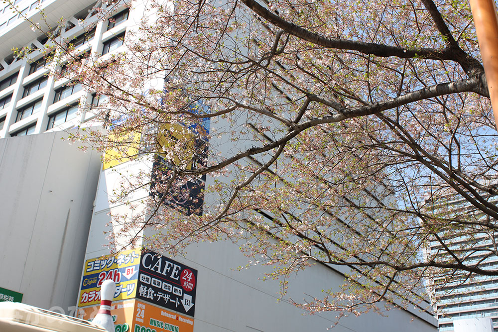 2023年4月4日の中野通りの桜と中野サンプラザ