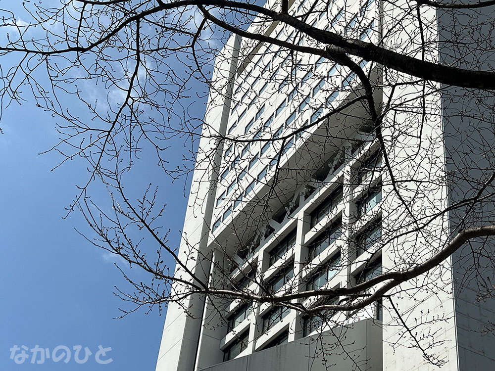 2026年3月17日の中野通りの桜と中野サンプラザ